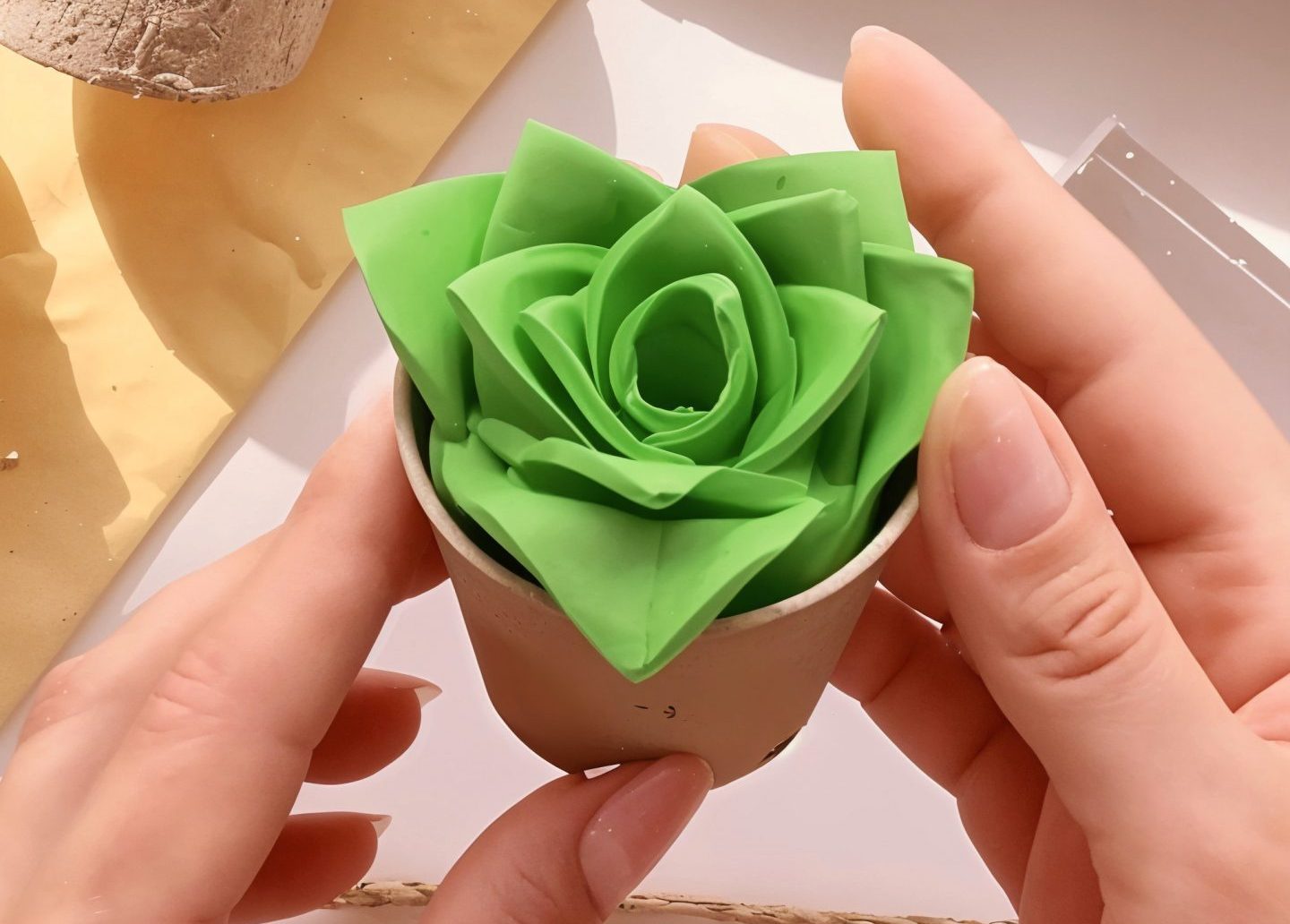 Clay pot plant